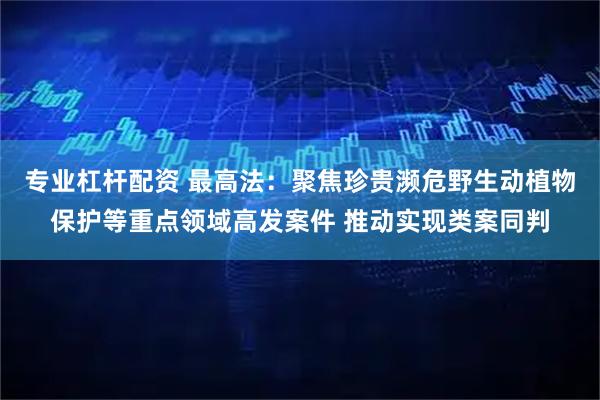 专业杠杆配资 最高法：聚焦珍贵濒危野生动植物保护等重点领域高发案件 推动实现类案同判