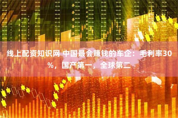 线上配资知识网 中国最会赚钱的车企:毛利率30%,国产第一,全球第二